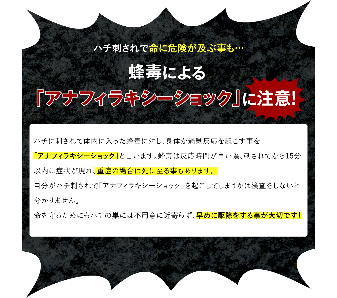 ハチ刺されで命に危険が及ぶことも…蜂毒による「アナフィラキシーショック」に注意！