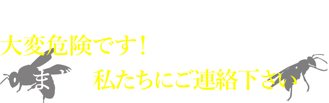 ハチを刺激すると大変危険です！自分で駆除せずにまずは私たちにご連絡下さい