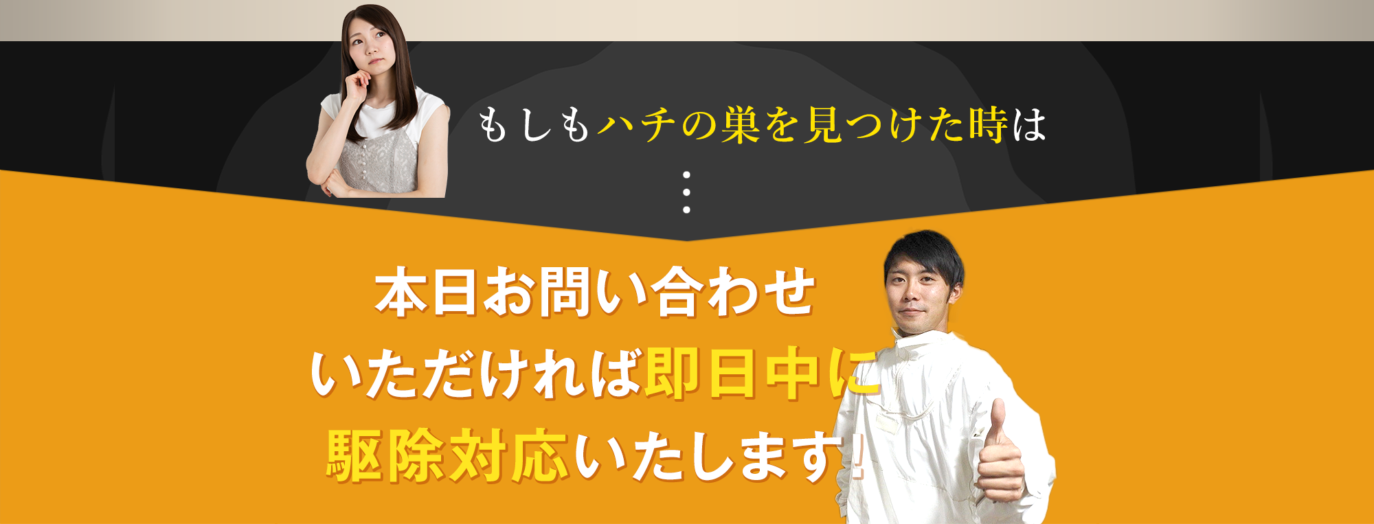 もしもハチの巣を見つけた時は…本日お問い合わせいただければ即日中に駆除対応いたします！