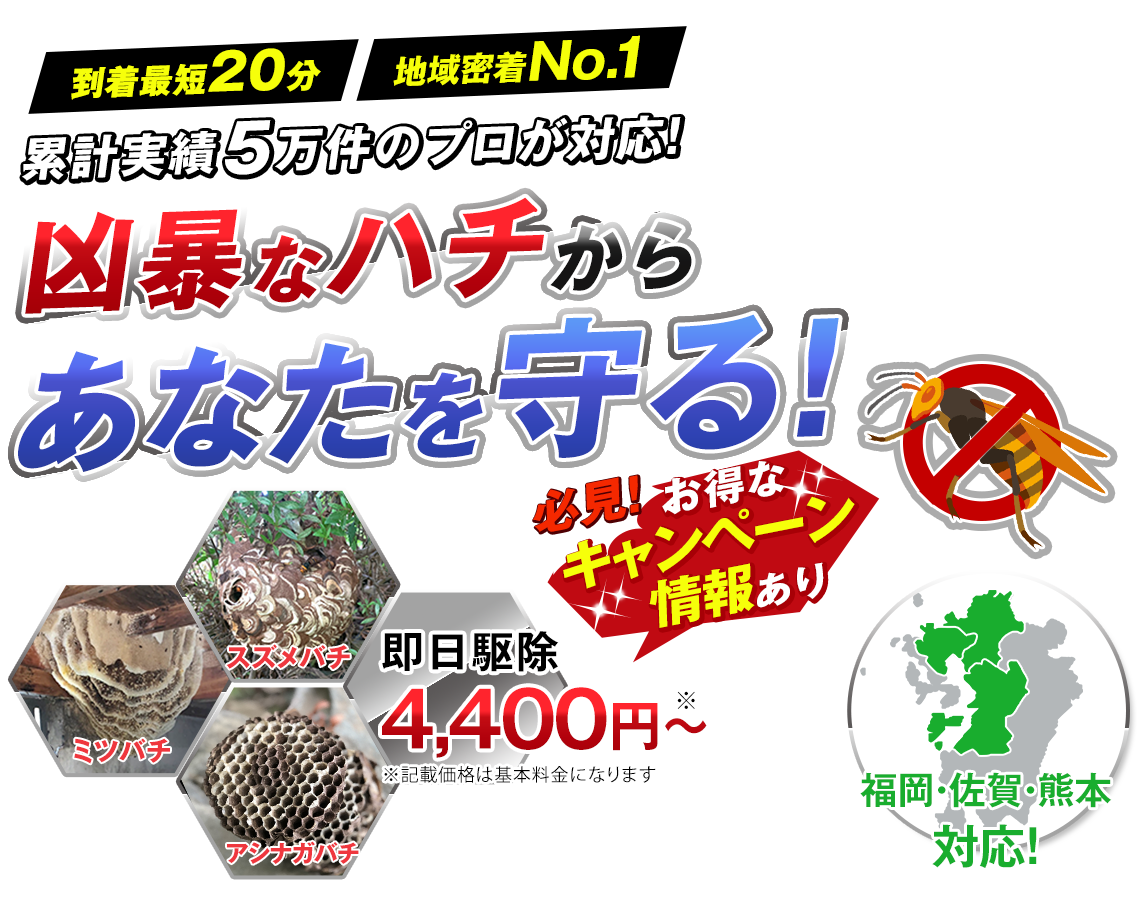 累計実績５万件のプロが対応！凶暴なハチからあなたを守る！