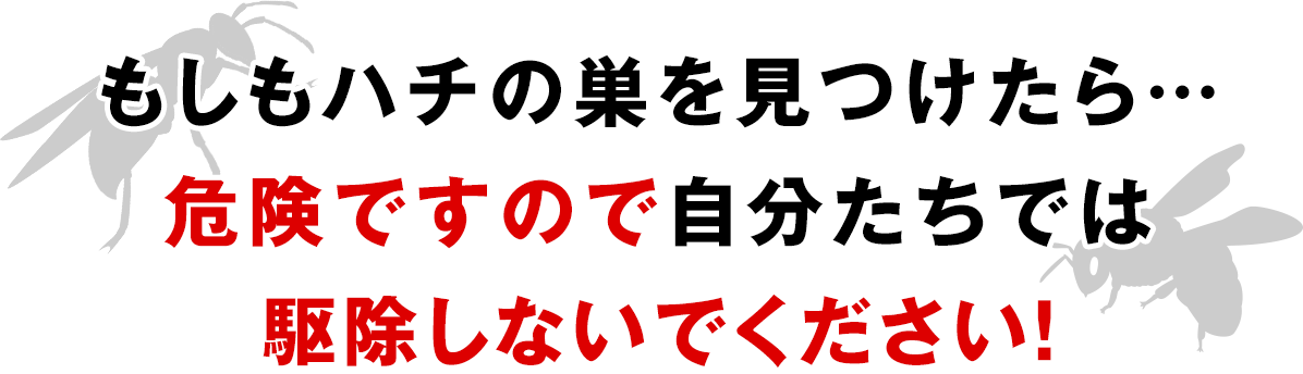 もしもハチの巣を見つけたら…危険ですので自分たちでは駆除しないでください！