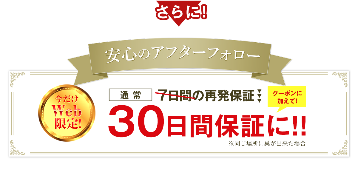 さらに安心のアフターフォロー今だけWeb限定クーポンに加えて30日間保証に！！