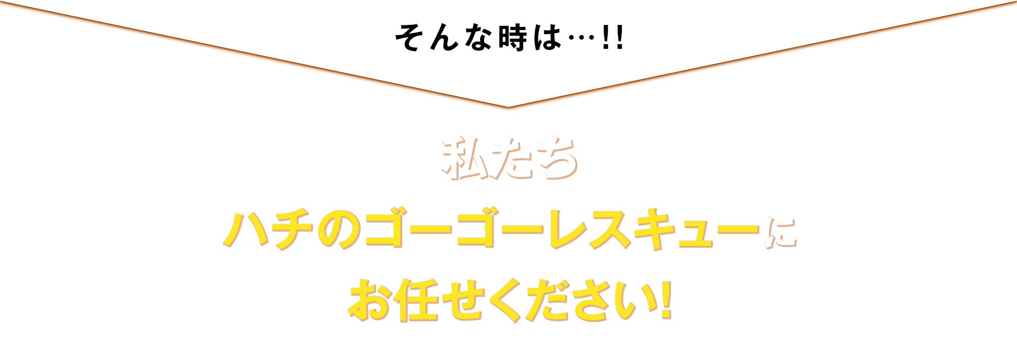 私たちハチのゴーゴーレスキューにお任せください！