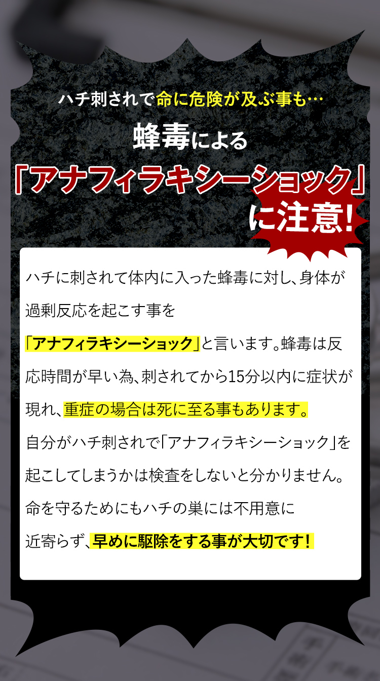 ハチ刺されで命に危険が及ぶことも…蜂毒による「アナフィラキシーショック」に注意！