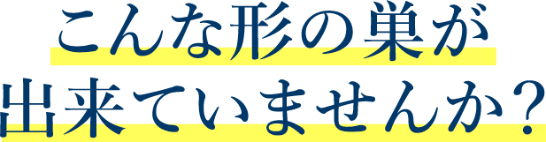 こんな形の巣が出来ていませんか？