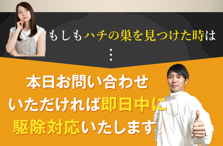 もしもハチの巣を見つけた時は…本日お問い合わせいただければ即日中に駆除対応いたします！