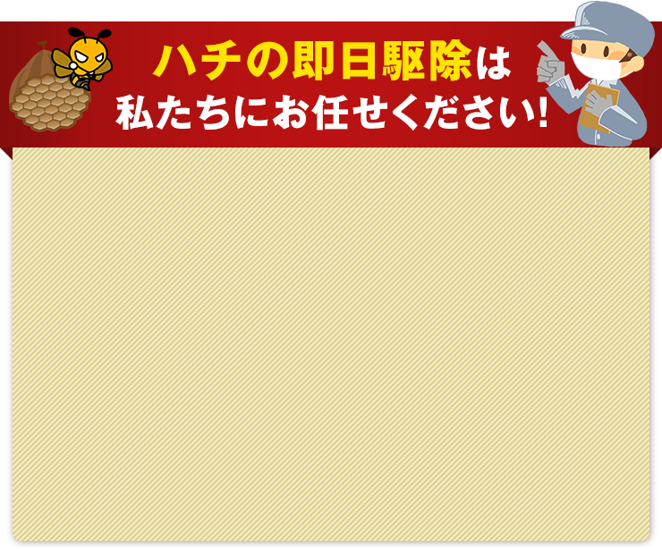 ハチの即日駆除はお任せください！