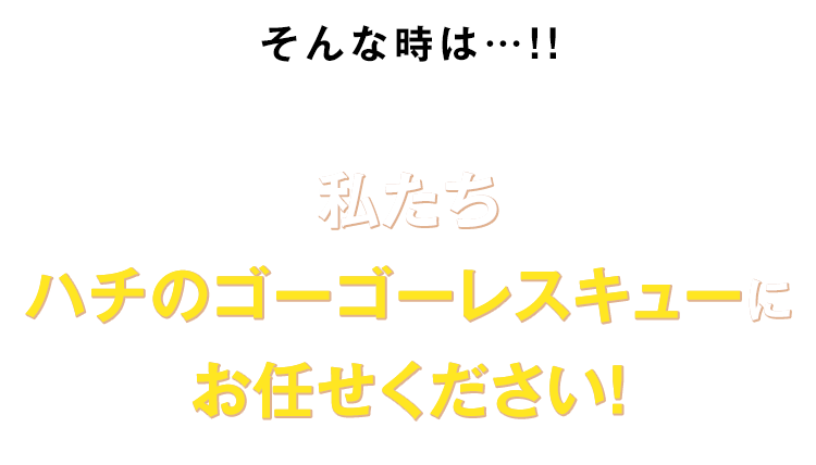 私たちハチのゴーゴーレスキューにお任せください！